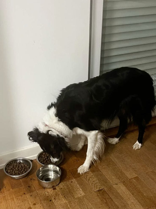 Foto della recensione di James P.